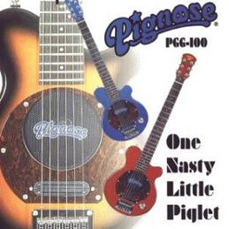 PGG-100 Amplified Guitar